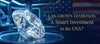 Are Lab Grown Diamonds Worth Buying in the USA